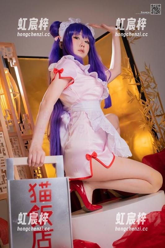 Sameki的写真网盘大揭秘：Ryzu-kyun让你沉迷不已，快来看看！